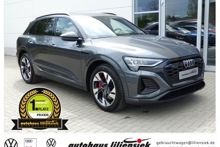 Audi Q8 Gebrauchtwagen
