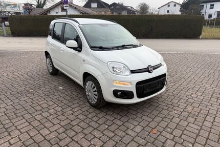 Fiat Panda Gebrauchtwagen