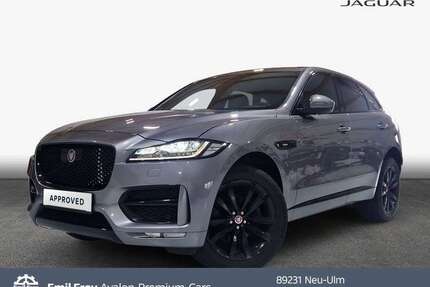 Jaguar F-Pace Gebrauchtwagen