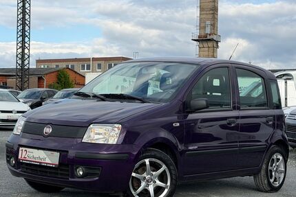 Fiat Panda Gebrauchtwagen
