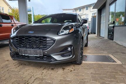 Ford Puma Gebrauchtwagen