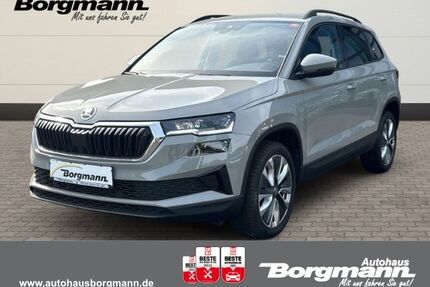 Skoda Karoq Gebrauchtwagen