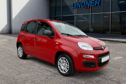 Fiat Panda Gebrauchtwagen