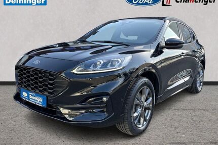 Ford Kuga Gebrauchtwagen