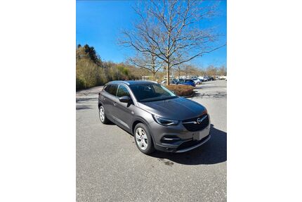 Opel Grandland (X) Gebrauchtwagen