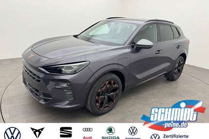 Cupra Terramar Gebrauchtwagen