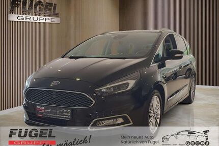 Ford S-Max Gebrauchtwagen