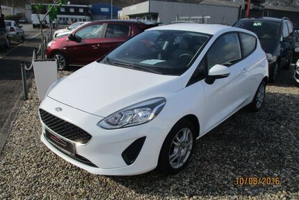 Ford Fiesta Gebrauchtwagen