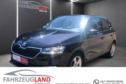 Skoda Fabia Gebrauchtwagen