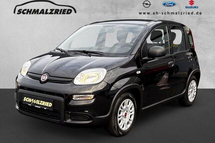 Fiat Panda Gebrauchtwagen