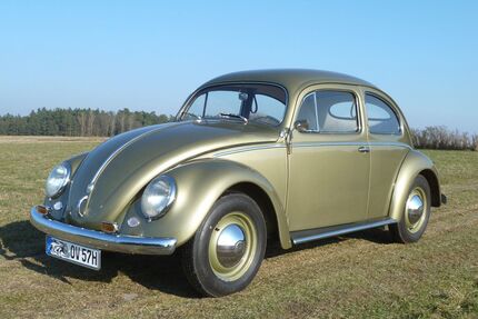 VW Käfer Gebrauchtwagen