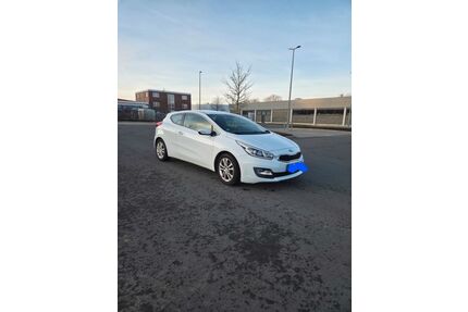 Kia ceed / Ceed Gebrauchtwagen