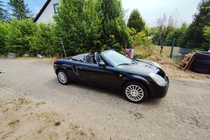 Toyota MR 2 Gebrauchtwagen