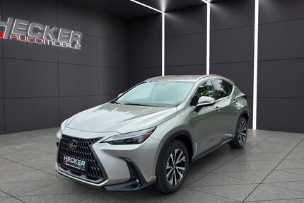 Lexus NX 450h Gebrauchtwagen