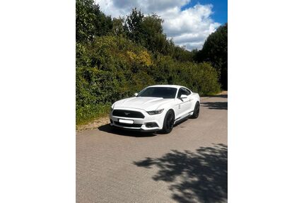 Ford Mustang Gebrauchtwagen