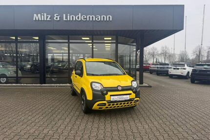 Fiat Panda Gebrauchtwagen
