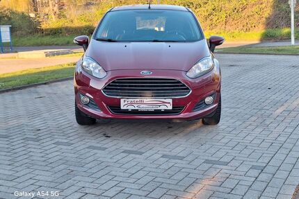 Ford Fiesta Gebrauchtwagen
