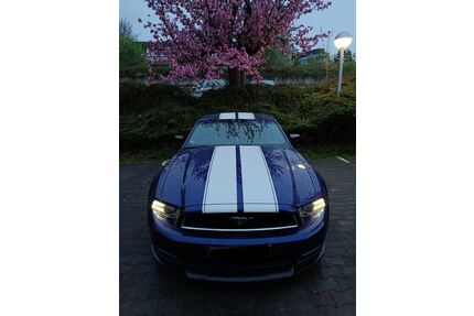 Ford Mustang Gebrauchtwagen