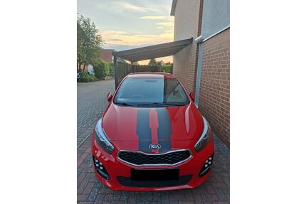 Kia ceed / Ceed Gebrauchtwagen