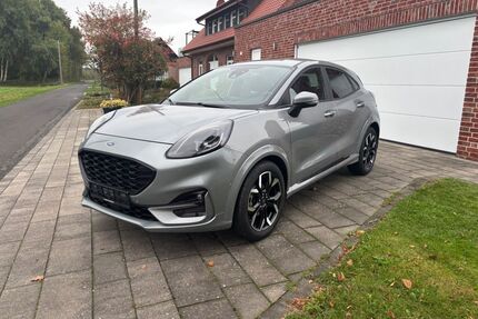 Ford Puma Gebrauchtwagen