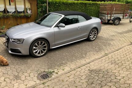 Audi A5 Gebrauchtwagen