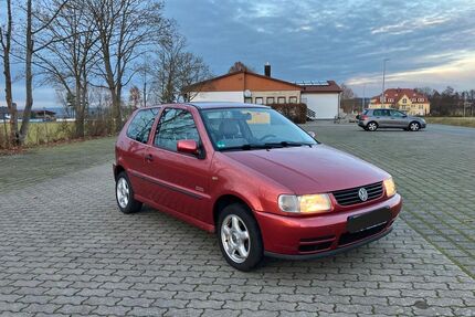 VW Polo Gebrauchtwagen
