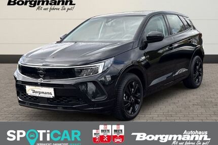 Opel Grandland (X) Gebrauchtwagen