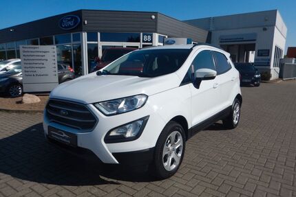 Ford EcoSport Gebrauchtwagen