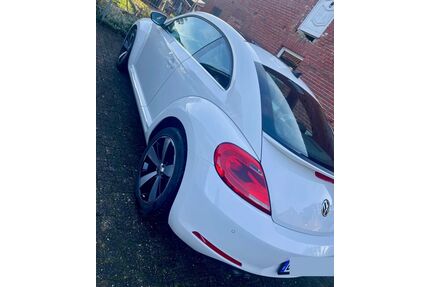 VW Beetle Gebrauchtwagen