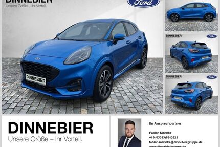 Ford Puma Gebrauchtwagen