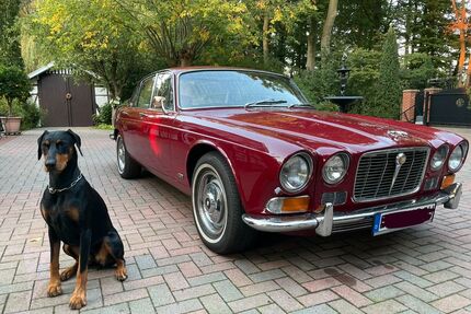 Jaguar XJ6 Gebrauchtwagen