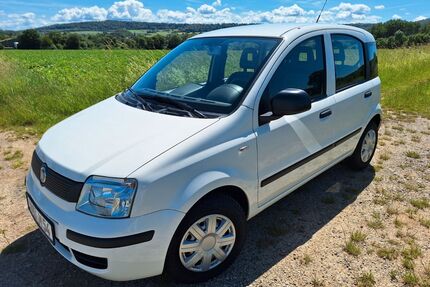 Fiat Panda Gebrauchtwagen