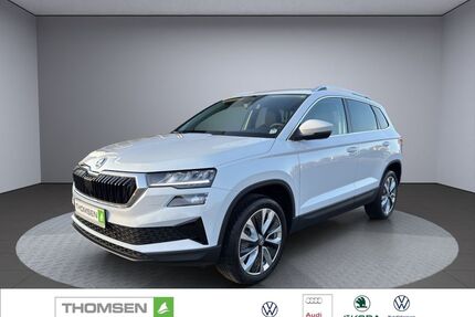 Skoda Karoq Gebrauchtwagen