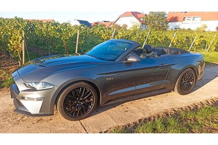Ford Mustang Gebrauchtwagen