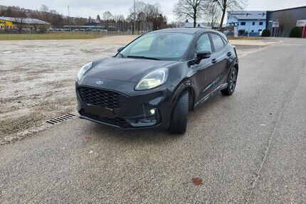 Ford Puma Gebrauchtwagen