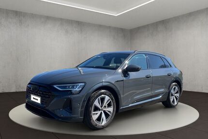 Audi Q8 e-tron Gebrauchtwagen