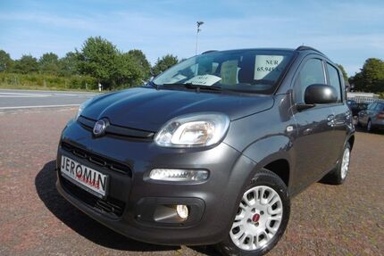 Fiat New Panda Gebrauchtwagen