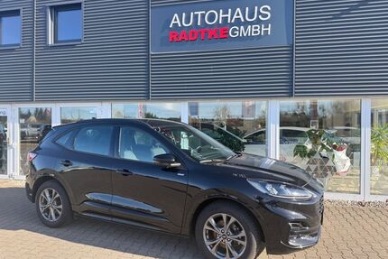Ford Kuga Gebrauchtwagen