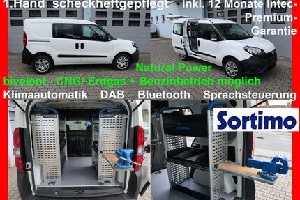 Fiat Doblo Gebrauchtwagen