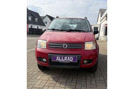 Fiat Panda Gebrauchtwagen