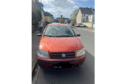 Fiat Punto Gebrauchtwagen