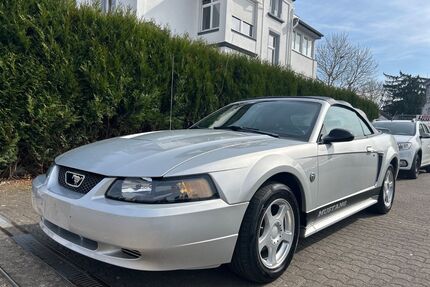 Ford Mustang Gebrauchtwagen