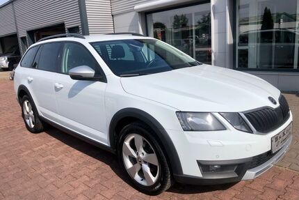 Skoda Octavia Gebrauchtwagen