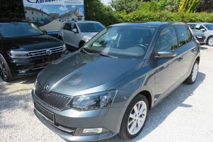 Skoda Fabia Gebrauchtwagen