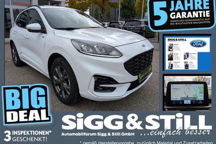 Ford Kuga Gebrauchtwagen