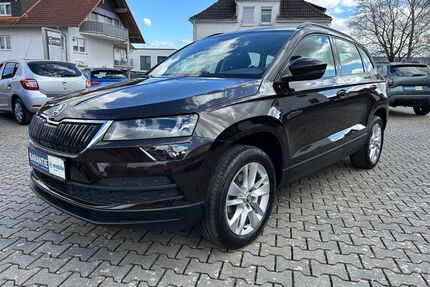 Skoda Karoq Gebrauchtwagen