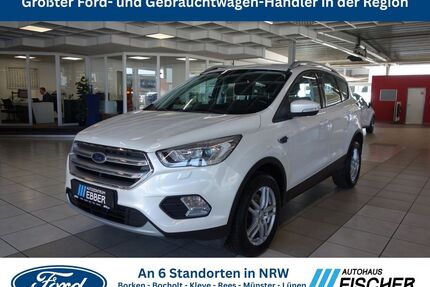Ford Kuga Gebrauchtwagen