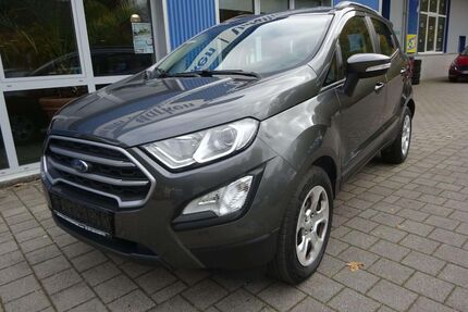 Ford EcoSport Gebrauchtwagen
