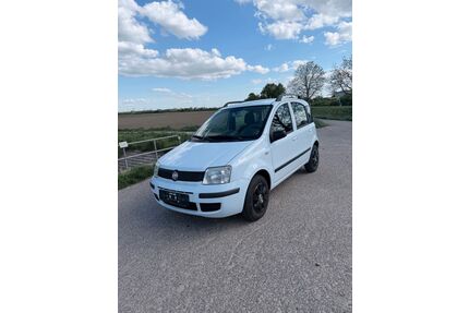 Fiat Panda Gebrauchtwagen