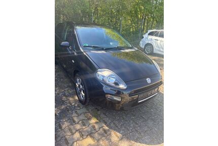 Fiat Punto Evo Gebrauchtwagen